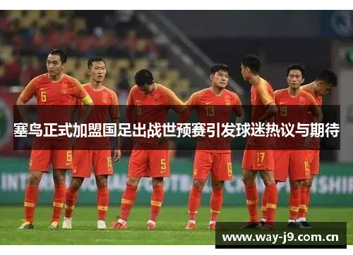 塞鸟正式加盟国足出战世预赛引发球迷热议与期待